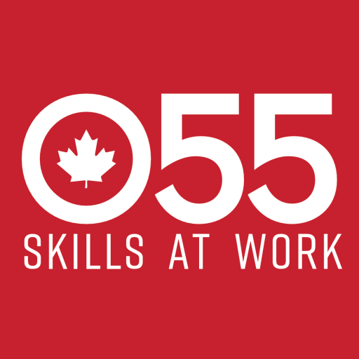 Over 55 Skills At Work - favicon - 1080px